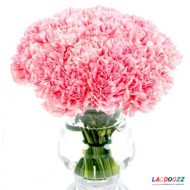 Pink Carnations for Home or Office